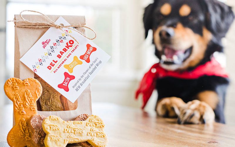 Dose of CBD for Dogs